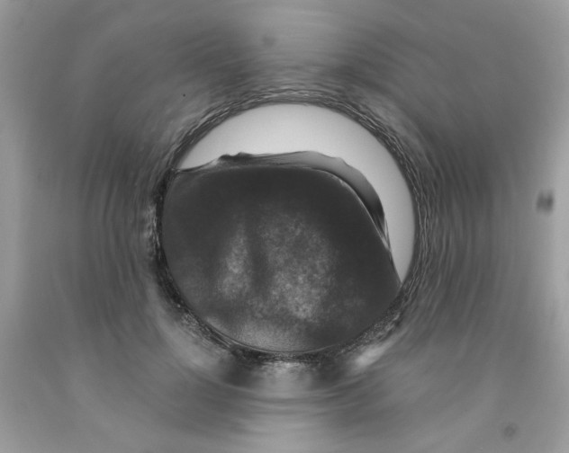 X0000091060748200709041159