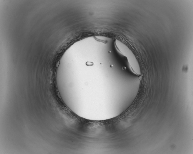 X0000091060750200709041159