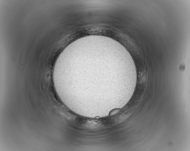 X0000091060753200709041159