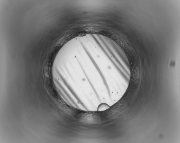 X0000091060755200709041159