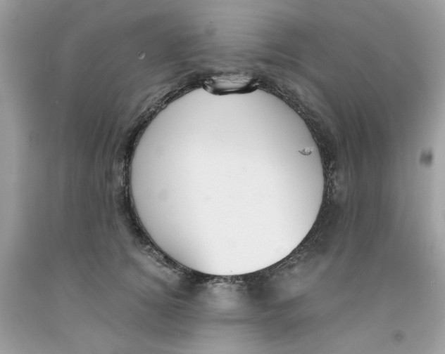 X0000091060756200709041159