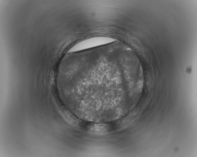 X0000091060758200709041159