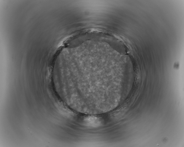 X0000091060759200709041159