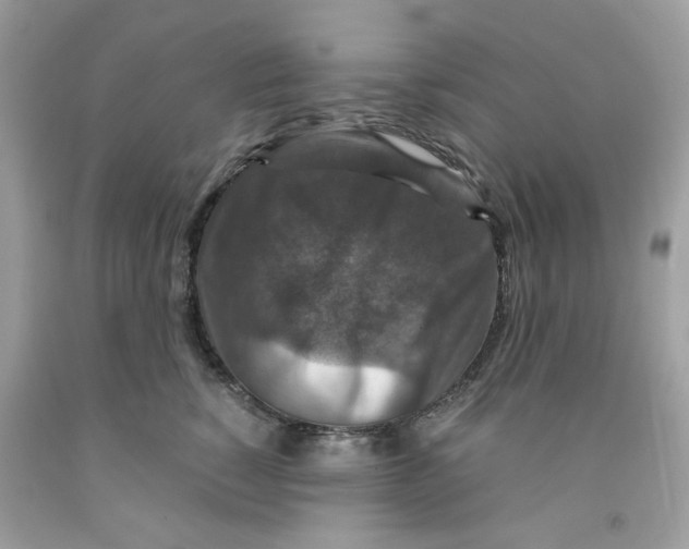 X0000091060760200709041159