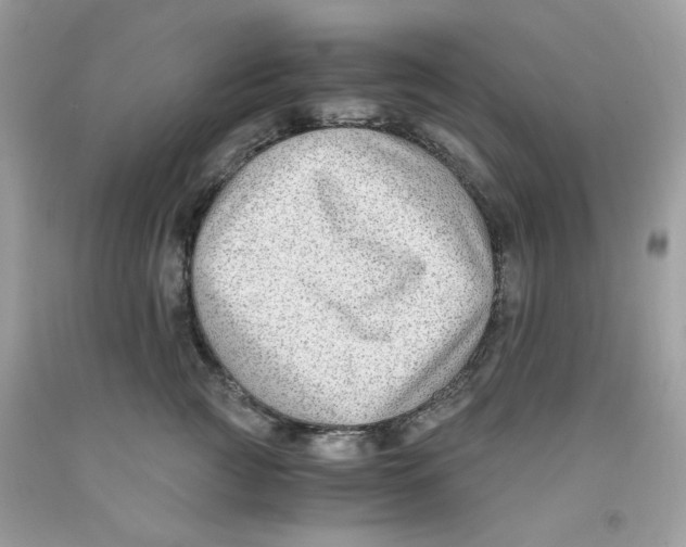 X0000091060761200709041159