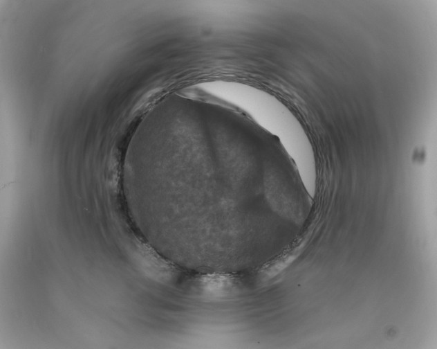 X0000091060762200709041159