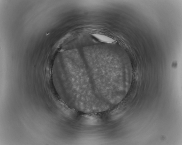 X0000091060763200709041159