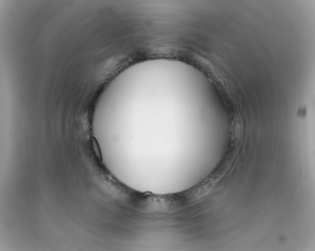 X0000091060764200709041159