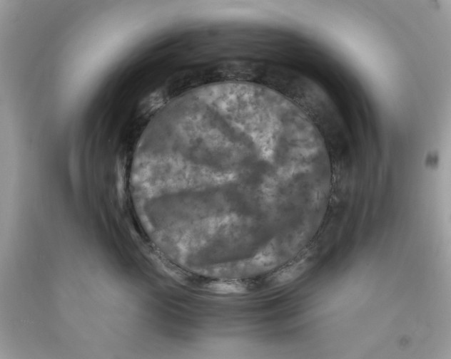 X0000091060765200709041159