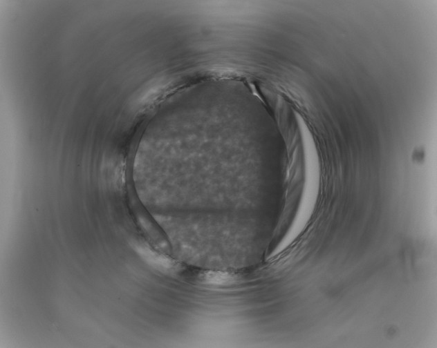 X0000091060766200709041159