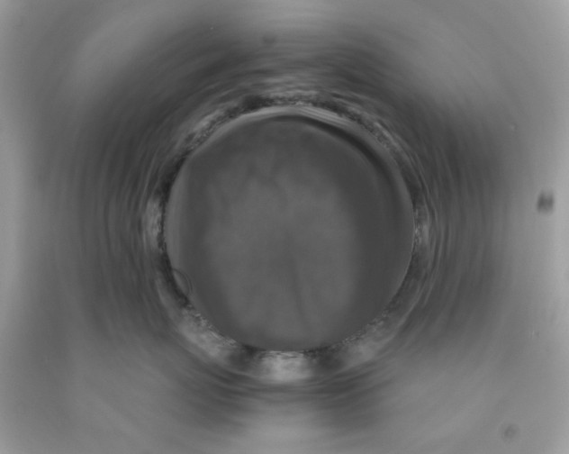 X0000091060767200709041159