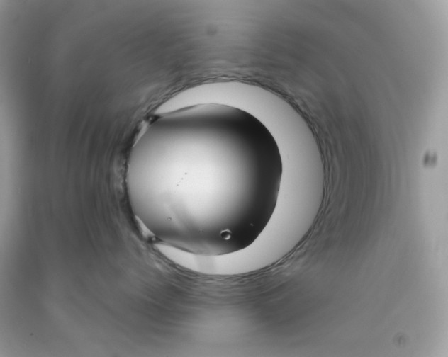 X0000091060768200709041159