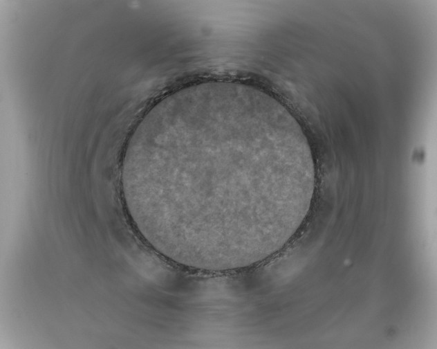 X0000091060769200709041158