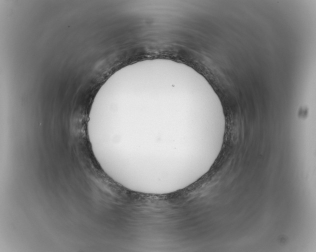 X0000091060770200709041158