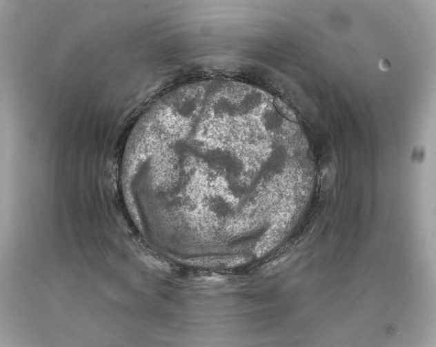 X0000091060772200709041158