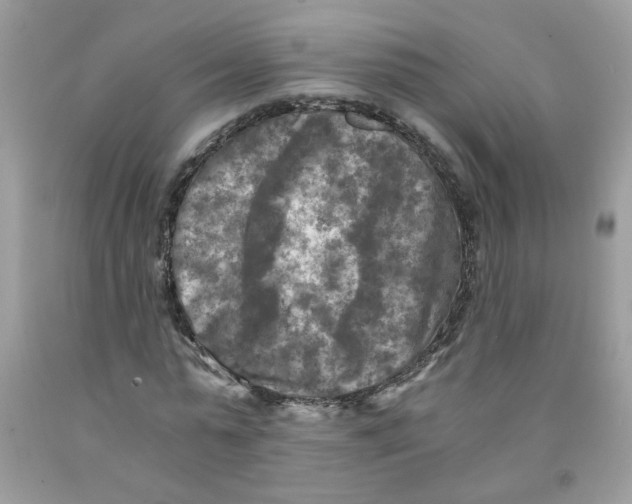 X0000091060775200709041158