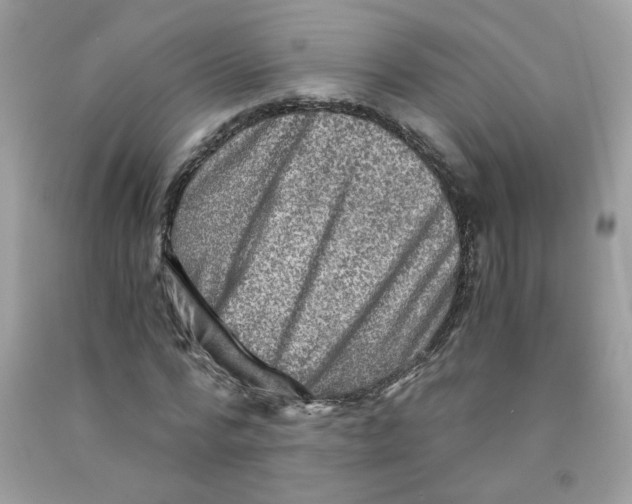 X0000091060776200709041158