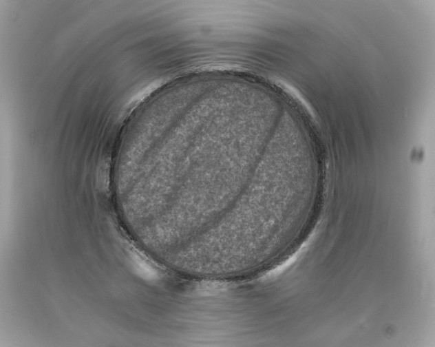 X0000091060777200709041158