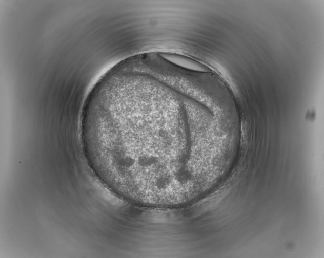 X0000091060780200709041158