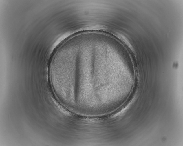 X0000091060781200709041158