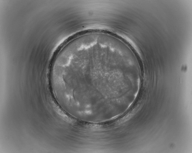 X0000091060783200709041158