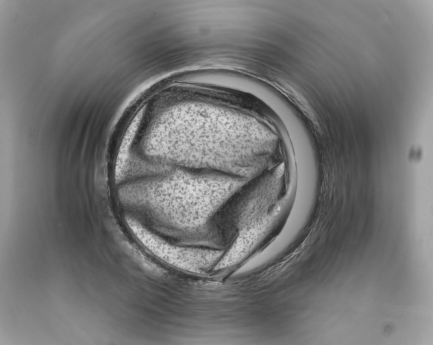 X0000091060784200709041158