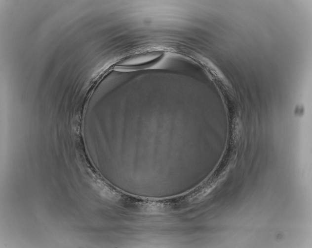 X0000091060785200709041158