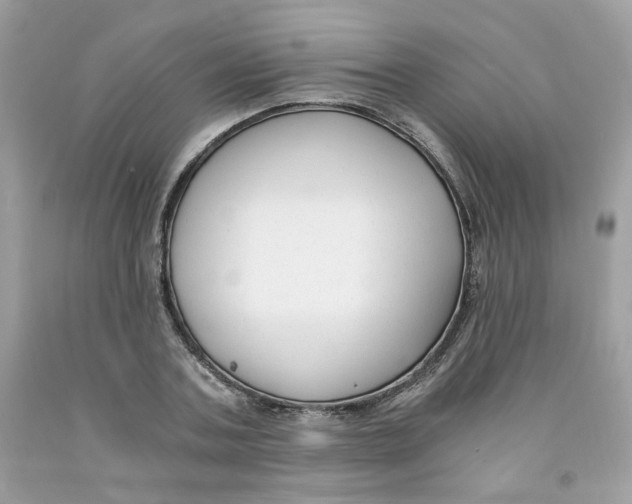 X0000091060787200709041158