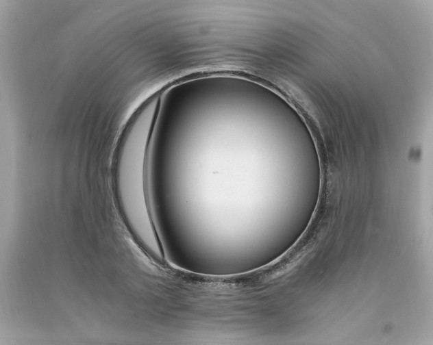 X0000091060789200709041158