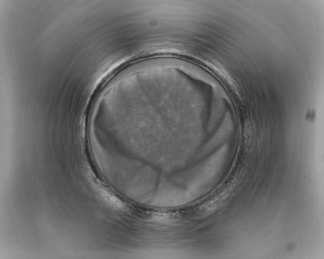 X0000091060790200709041158