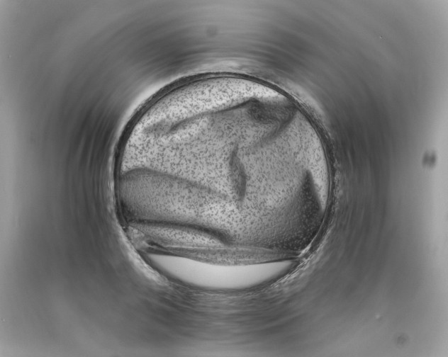 X0000091060792200709041158