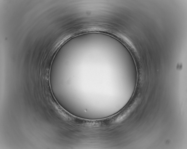 X0000091060793200709041158