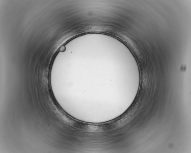 X0000091060794200709041158