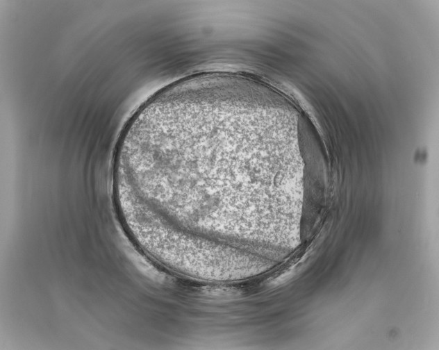 X0000091060795200709041158