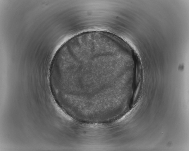 X0000091060797200709041158