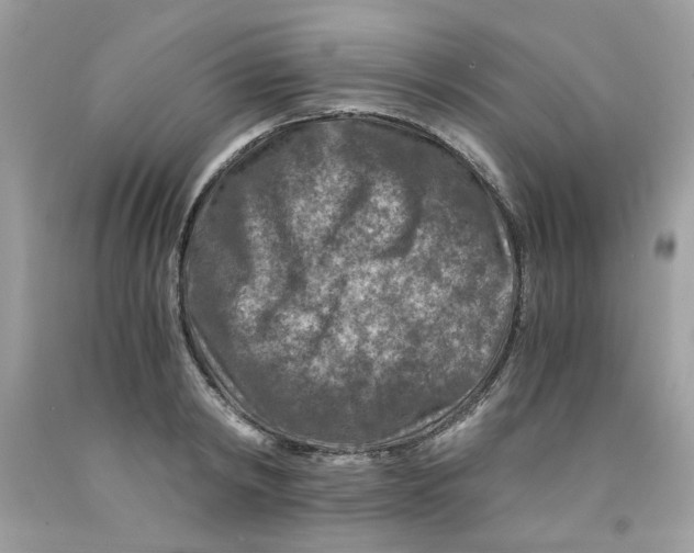 X0000091060798200709041158