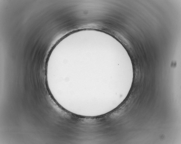 X0000091060800200709041158