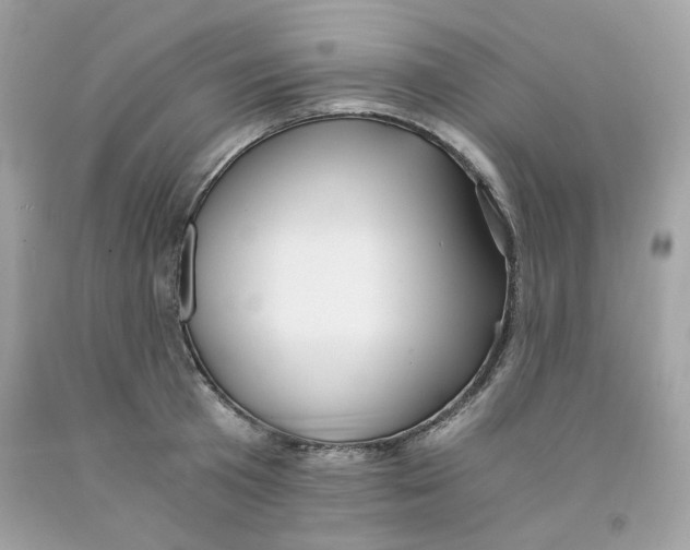 X0000091060801200709041158