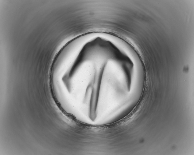 X0000091060803200709041158