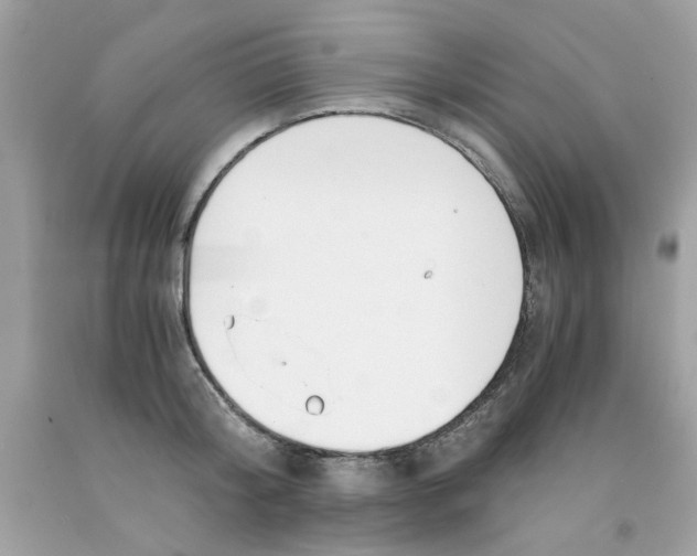 X0000091060804200709041158