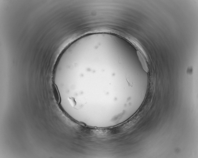 X0000091060805200709041158