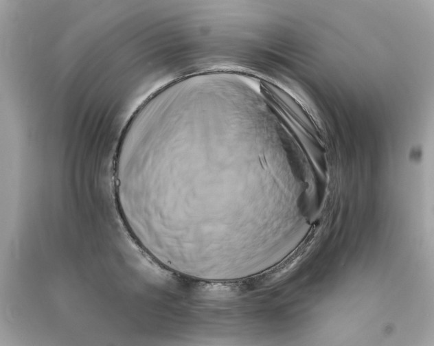 X0000091060806200709041158