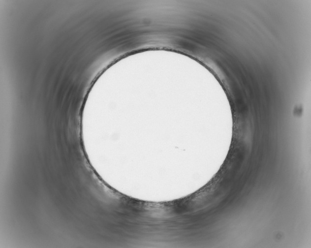 X0000091060807200709041158