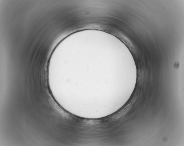 X0000091060808200709041157