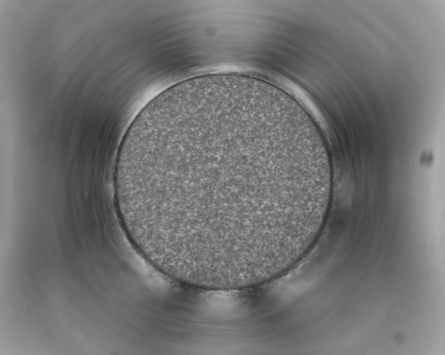 X0000091060810200709041157