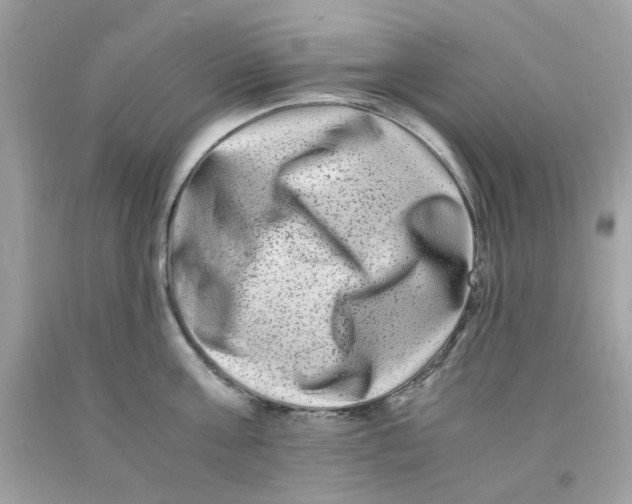 X0000091060811200709041157