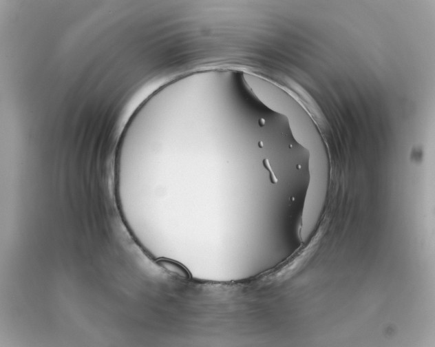 X0000091060812200709041157