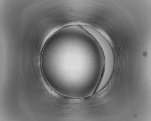 X0000091060813200709041157