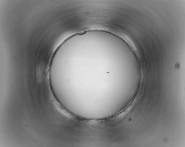 X0000091060814200709041157