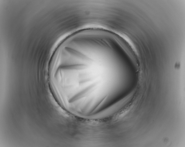 X0000091060815200709041157